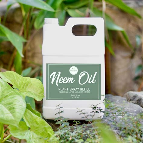 4 LITERS or 1 GALLON NEEM OIL PLANT SPRAY in refill bottle (Ready to ...
