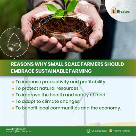 How Small-Scale Farmers Can Farm Sustainably