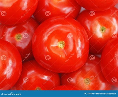 Red Ripe Tomatoes stock photo. Image of organic, health - 7140802