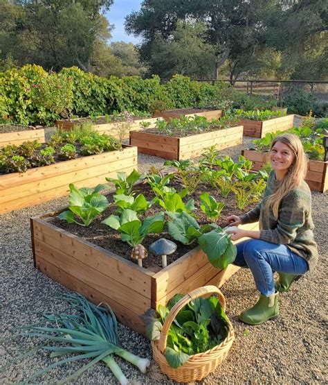 How to Build a DIY Raised Garden Bed: Step-by-Step Guide ~ Homestead ...