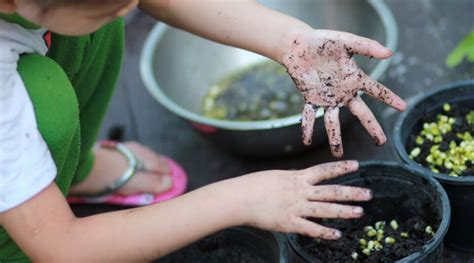 17 Plants Kids Love To Grow From Seed