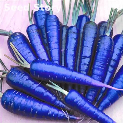 50 plants/pack Carrot Blue Yellow Radish plants Vegetables Plants ...