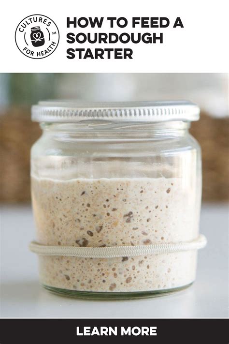 Foamy Bubbles On Sourdough Starter at Tammy Jackson blog