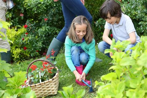 Children Helping Their Parents Gardening Stock Image - Image of ...