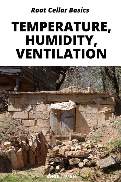 Root Cellar Basics: Temperature, Humidity, Ventilation