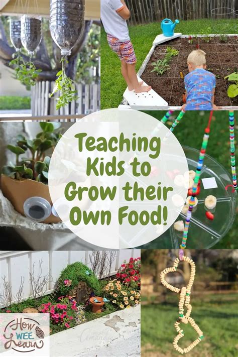 How to involve kids in garden-to-table food prep?