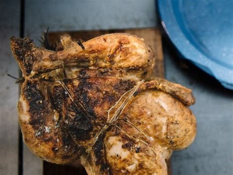 Hung Chicken — Sarah Glover