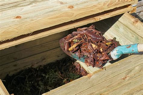 Turning Compost: Ways To Turn The Compost Pile