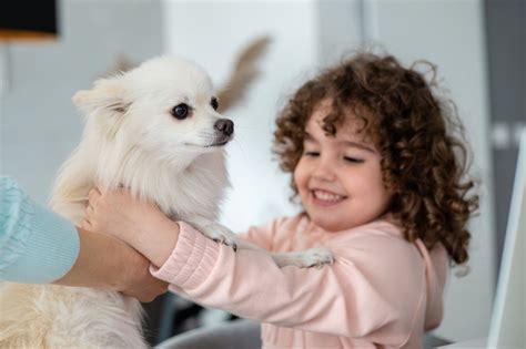 How to prepare children for the reality of caring for a dog ...