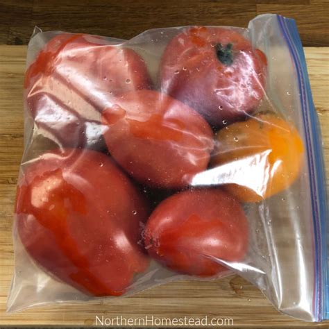 Easiest ways to preserve garden tomatoes for winter use?