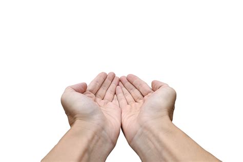 hold out one's hand. presenting with hand 21008072 PNG