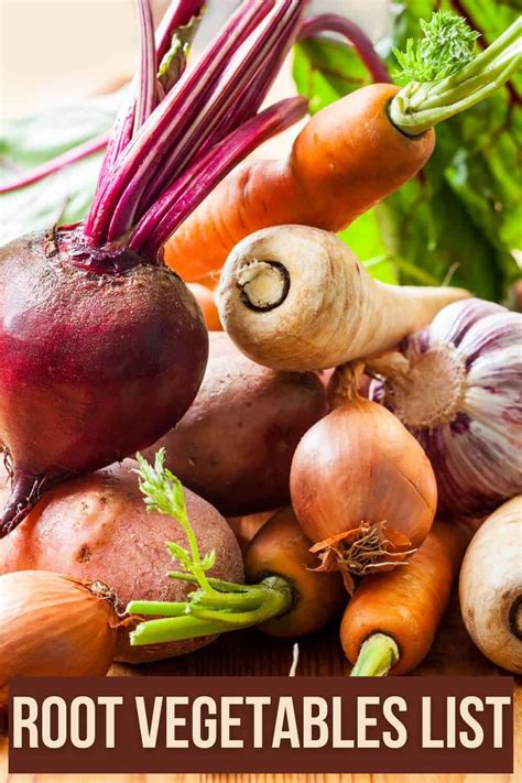 Root Vegetables List: 15 Favorites With Pictures