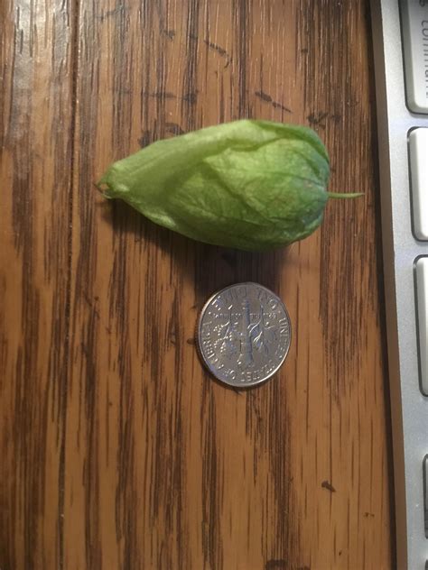 A bountiful harvest. : r/gardening