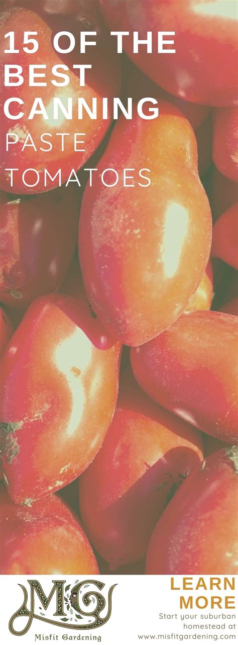 15 Best Paste Tomatoes For Canning - Misfit Gardening