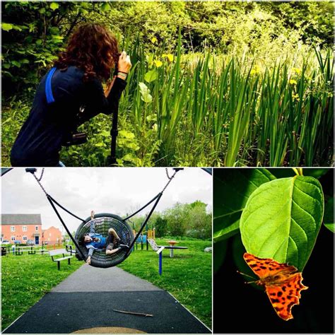 Finlay – The Naturalist – Bushcraft Days