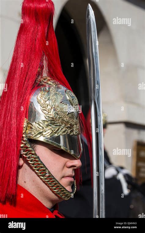 Close up royal horse hi-res stock photography and images - Alamy