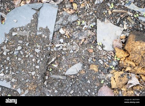 Dead parts pile hi-res stock photography and images - Alamy