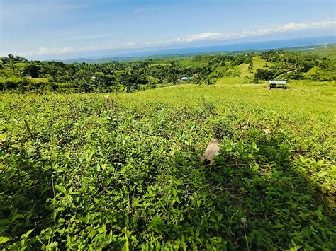 Affordable Farmlot For Sale | Cebu City