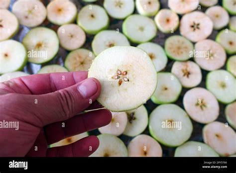 drying homemade apples, drying apples, sliced apple slices left to dry ...