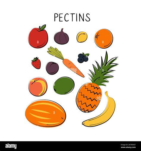 Pectins-containing food. Groups of healthy products containing vitamins ...
