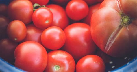 How to preserve summer tomato harvest for winter meals, naturally?