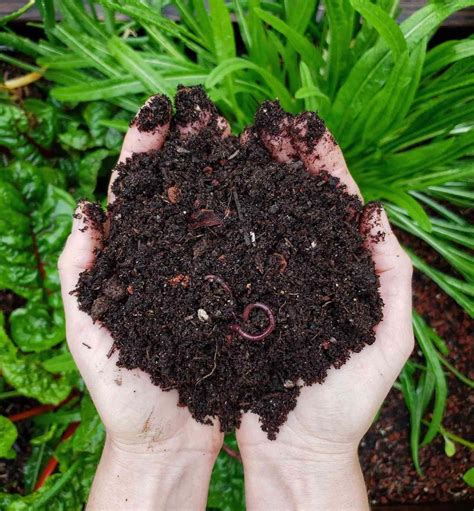 Composting 101: What, Why &amp; How to Compost at Home ~ Homestead and Chill