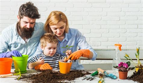 Family Gardening. Child with Parents Planting Flowers. Home Garden ...