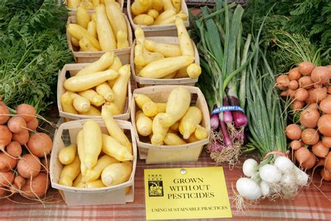 Local Food Movement: Everything You Need to Know - EcoWatch