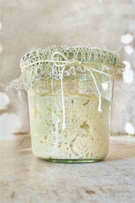 Easy Guide to Create and Maintain a Stiff Sourdough Starter - Not Just Food