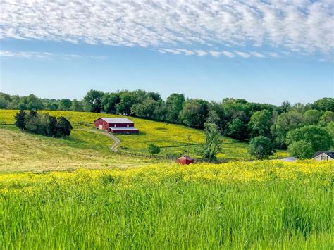 乡村的 国家 树木 - Pixabay上的免费照片 - Pixabay