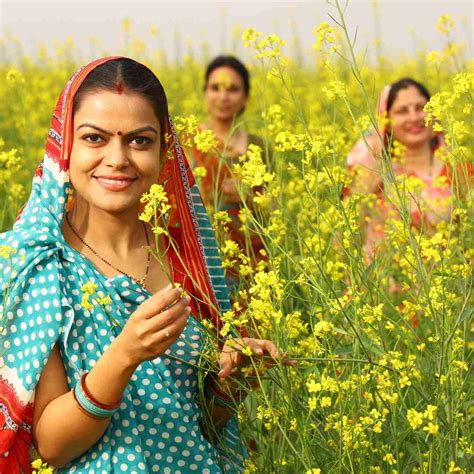 Rural Lifestyle: Embracing The Serenity Of Country Living