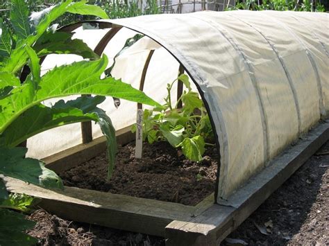 Row Covers For Garden Plants – How To Use Floating Row Covers In The ...
