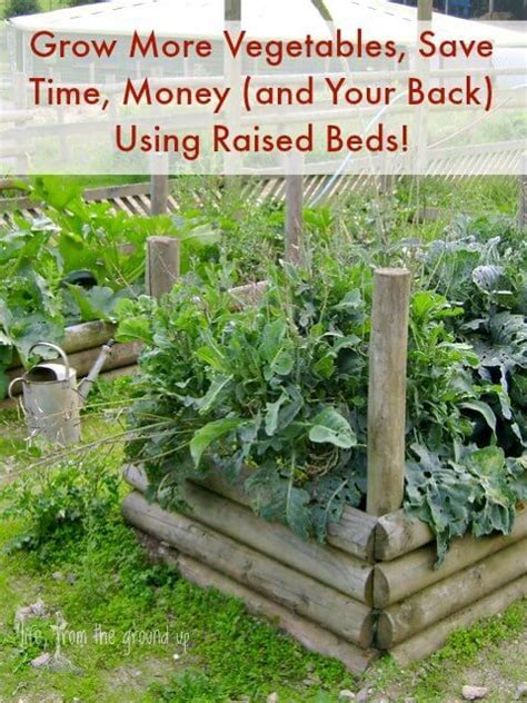 The Many Benefits of Raised Garden Beds | Raised garden beds, Raised ...