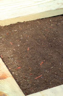 Filling raised be