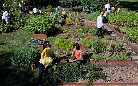 Garden Sharing: What You Need to Know?