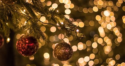 Festive Season Trends That Are Here to Stay - MTN Pulse