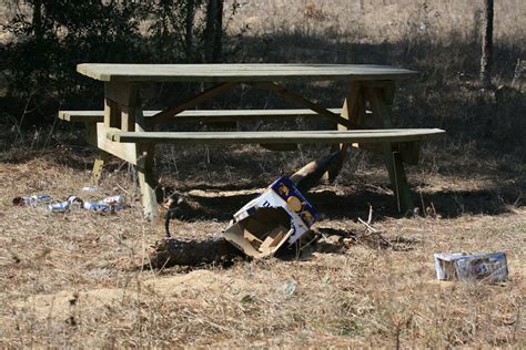 Lunch in the Great Outdoors | Might have been a nice place f… | Flickr