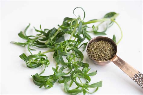 What is Savory Spice? - The Kitchen Magpie