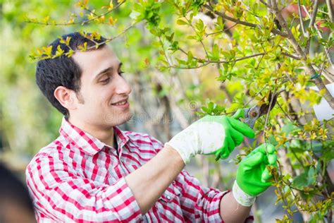 Gardener stock photo. Image of gardener, white, outside - 39875416