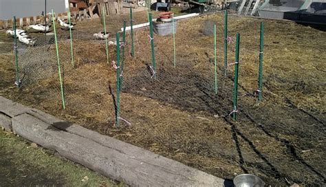 Compost Garden Beds