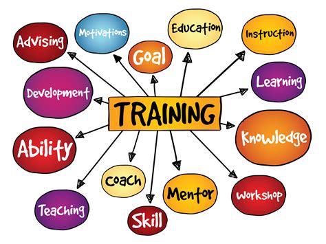 5 Most Effective On-the-Job Training Strategies