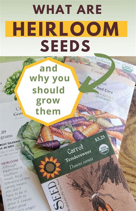 What Are Heirloom Seeds &amp; Why You Should Grow Them · Hidden Springs ...
