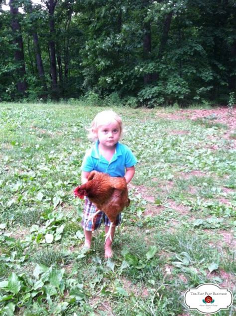 8 Incredible Lessons Learned from Homesteading - The Flip Flop Barnyard