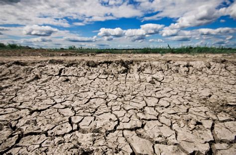 5 tips to prepare your home for the upcoming dry season - Service Today