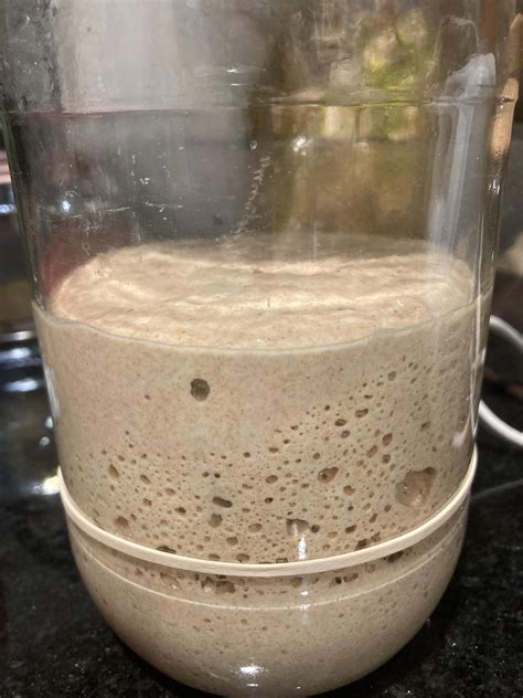 Starter isolated bubbling : r/Sourdough