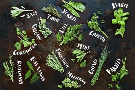 How to use herbs - Jamie Oliver | Features