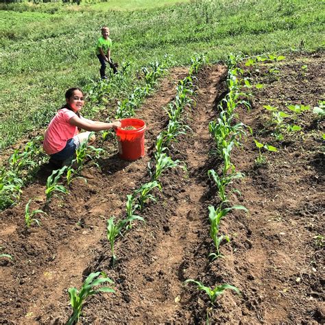 How do you involve kids in garden-to-table cooking and homestead chores practically?