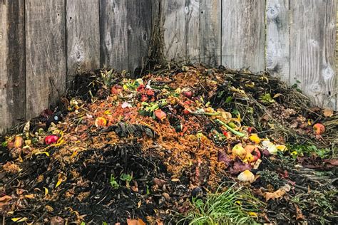 Creating The Perfect Fall Compost Pile From Autumn&#039;s Bounty