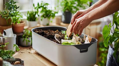 How to effectively compost kitchen scraps for rich garden soil health?