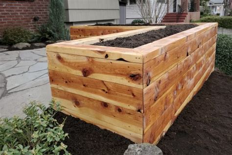 What’s the best wood for DIY raised garden beds to prevent rot for years of harvests?